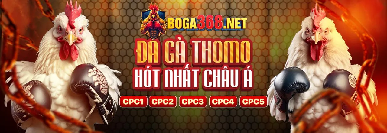 Các biện pháp bảo vệ dữ liệu của VMN Link Mới