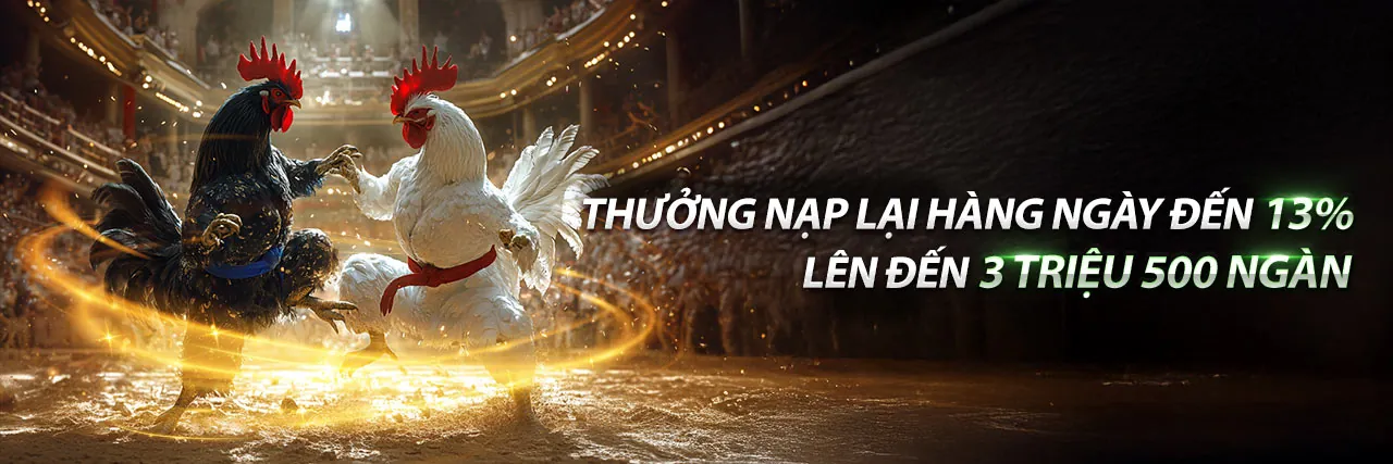 Đấu gà trực tuyến vmn link mới 2026