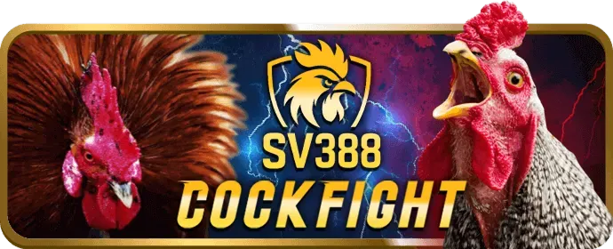 Mẹo chơi game VMN hiệu quả