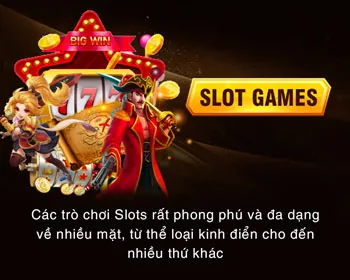 Hệ thống bảo mật VMN tối tân