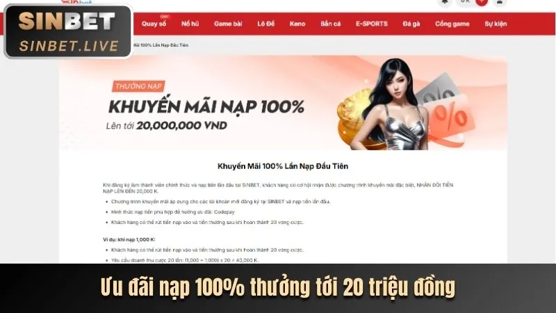 Minh họa câu hỏi thường gặp vmn link mới